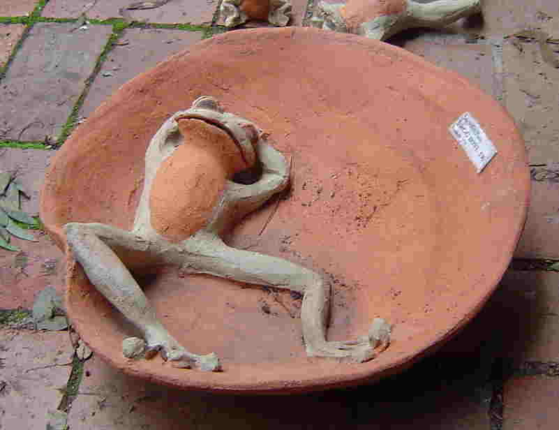 frog bowl