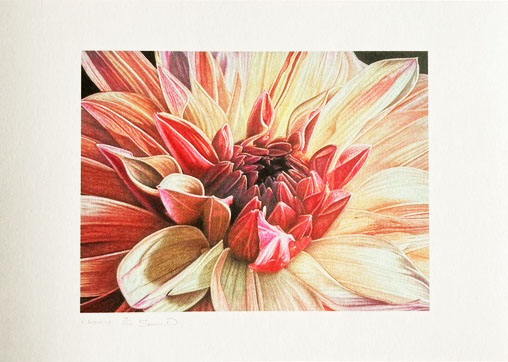 Bolin Bolin Gallery - Sean Westall